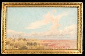 Vue De Camargue.