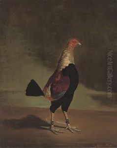 A Prize Fighting Cock by Henry Lark Pratt