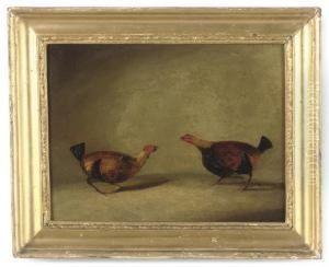 Cock Fighting by Hilton L. Jnr. Pratt