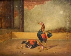 Cock Fighting by Hilton L. Jnr. Pratt