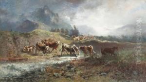 Paesaggio Alpino. Paesaggio Alpino.