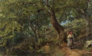 Waldlandschaft Mit Tessinerin. Waldlandschaft Mit Tessinerin.