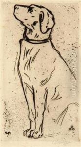 A Dog - view 1
