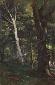 Von Der Ostsee: Buche Und Eiche Auf Dem Vilm