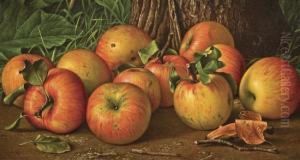 Eleven Apples by Levi Wells Prentice