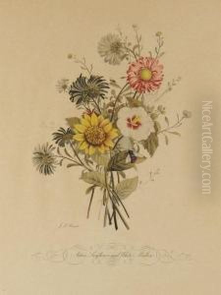 Two Floral Botanical Prints - view 1