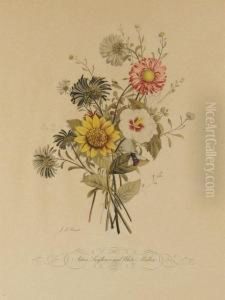 Two Floral Botanical Prints