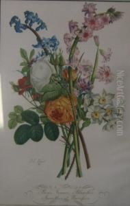 Roses Jaunes,blanches, Jacinthes Et Narcisse by Jean Louis, Le Jeune Prevost