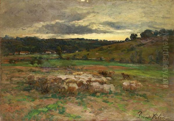 Le Troupeau De Moutons - view 1