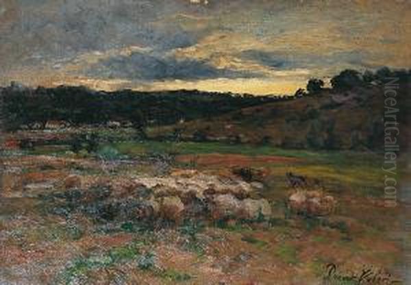 Troupeau De Moutons - view 1