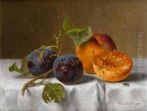 Plums And Apricots by Emilie Preyer