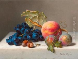 Still Life With Grapes. by Emilie Preyer