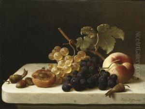 Grapes, Acorns, An Apricot And A Peach On A Marble Ledge by Emilie Preyer