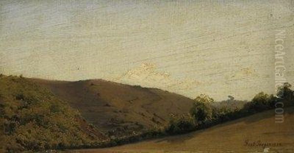 Heather Landscape Near Hilden - view 1