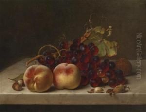 Still Life With Grapes And Hazelnuts by Johann Wilhelm Preyer