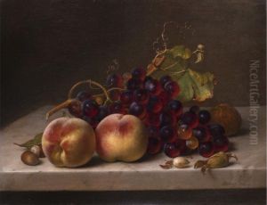 Fruchtestilleben Auf Steinplatte by Johann Wilhelm Preyer