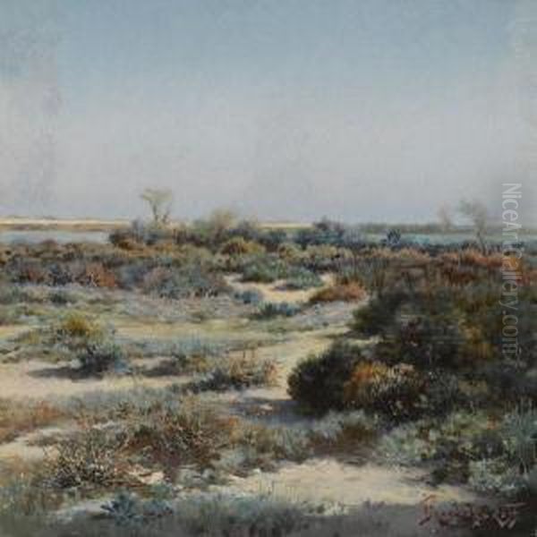 The Camargue - view 1