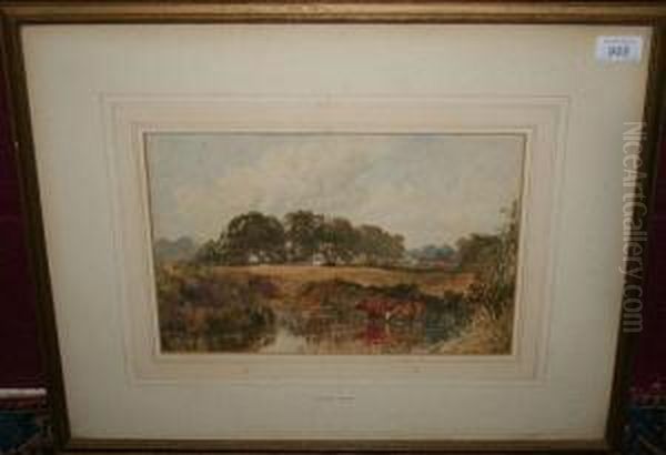 Cattle Watering Beside A River - view 1