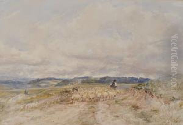 Shepherd And Sheep Inlandscape Near Brighton - view 1
