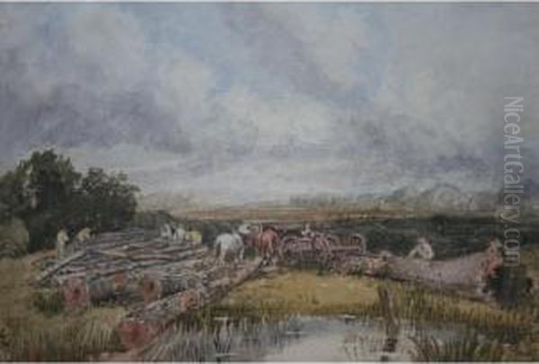 A Logging Team - view 1