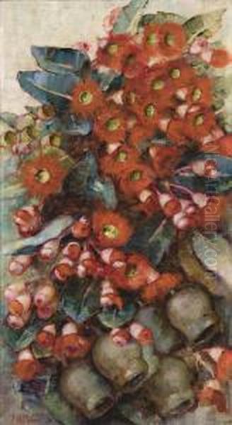 Red Flowering Gum - view 1