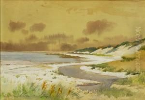 Coast Of Brewster Coast Of Brewster