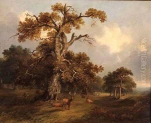Deer In Kimberley Park by Alfred Priest