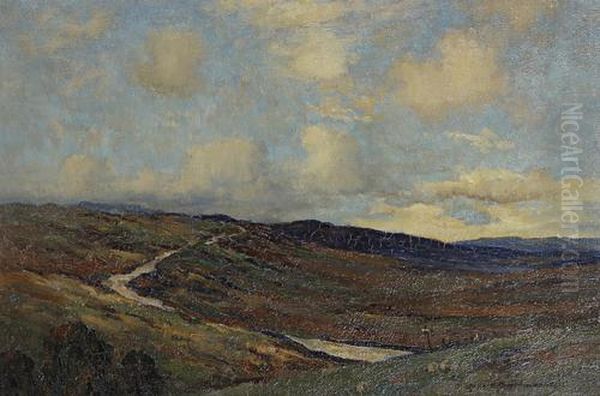 Barden Moors - view 1