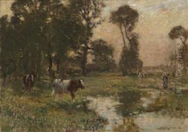 Pasture Scenery - view 1