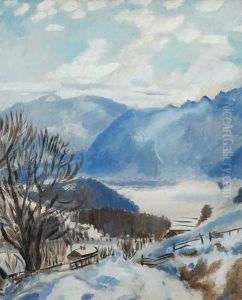 La Vallee Du Rhone Vue De Leysin