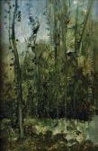 Paysages De Sous-bois by Rene Pierre Princeteau