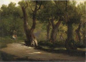 Riposo Nel Bosco