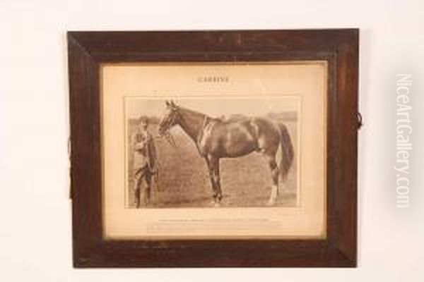 Horse Carbine - view 1