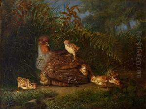 Rapphone Med Kyllinger 1862 by Christian August Printz