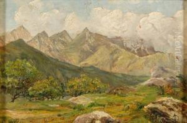 Campo Rossetti Condove - view 1