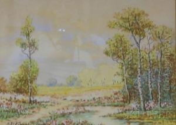 Landscape - view 1