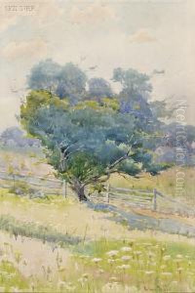 Pasture View - view 1