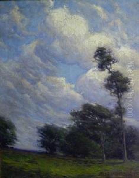 Landscape - view 1