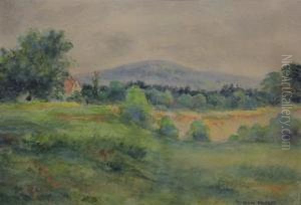 Landscape - view 1