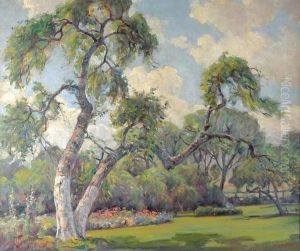 San Jacinto San Jacinto