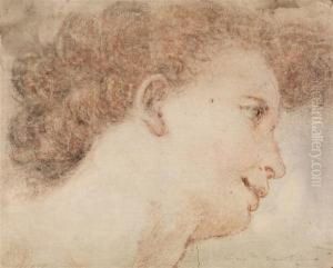 Etude De Tete De Profil by Camillo Procaccini