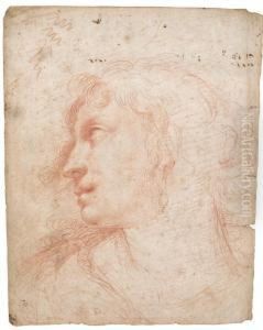 Study Of A Female Head, Seen In Profile, Wearing A Pearlearring by Ercole Ii Procaccini