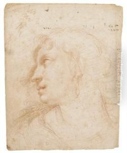 Head Of A Young Woman Wearing An Earring, In Profile To The Left