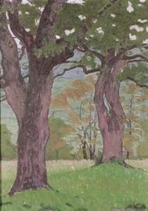 Wiesenlandschaft Mit Eichen. Wiesenlandschaft Mit Eichen.