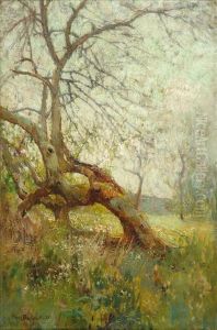 Study Of Trees by Adam Edwin Proctor
