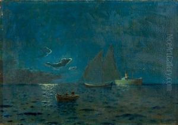 Moonlight Sailing - view 1