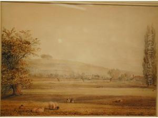 Stcatherine's Hill From The Water Meadows - view 1