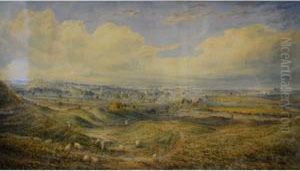 Winchester From Morested Downs