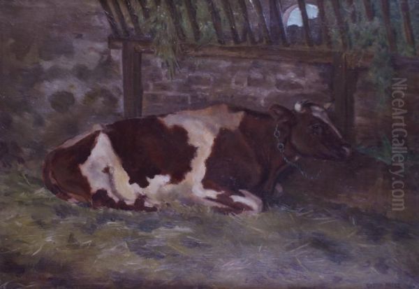 Vache Couchee - view 1
