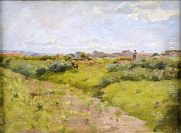 Paysage Anime - view 1